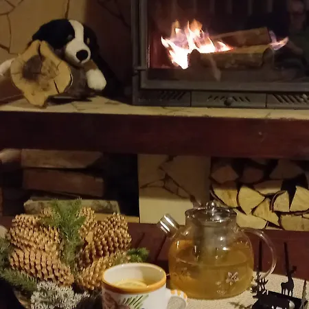 Edelweiss Cozy Cu Semineu, Sauna Si Terasa Guest house