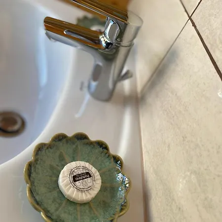 Pensión Edelweiss Cozy Braşov