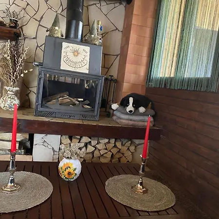 Edelweiss Cozy Cu Semineu, Sauna Si Terasa Guest house Brasov