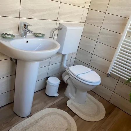 Guest house Edelweiss Cozy Cu Semineu, Sauna Si Terasa Brasov