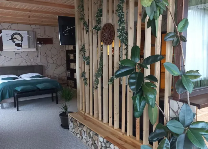 Edelweiss Cozy Brasov