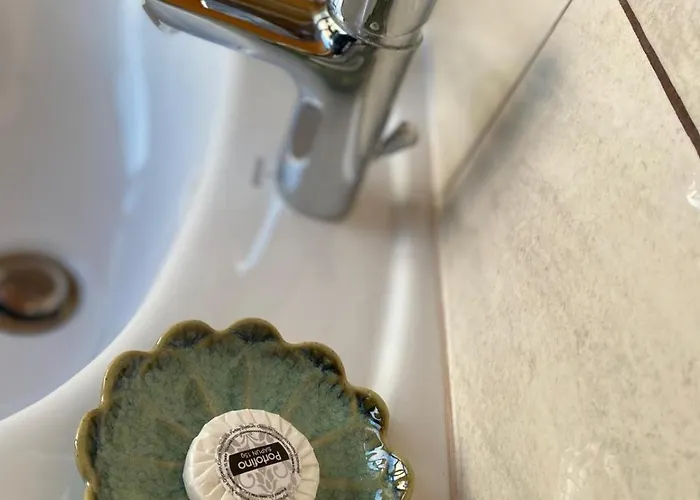 Guest house Edelweiss Cozy Brasov