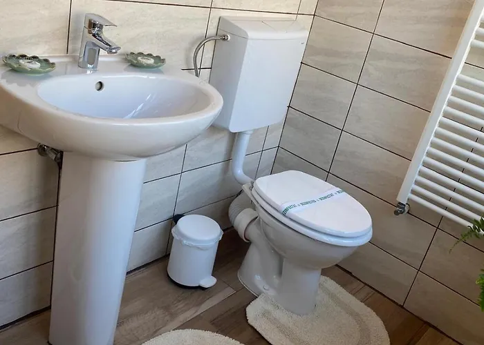 Guest house Edelweiss Cozy Brasov