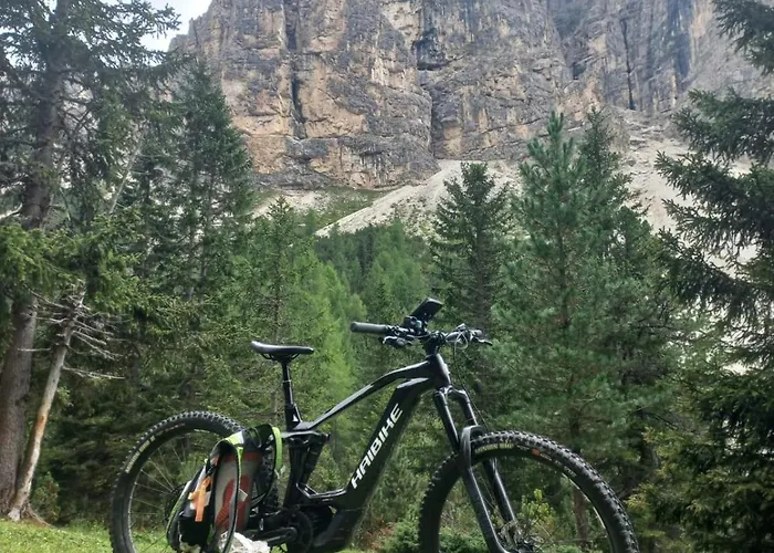 Edelweiss Cozy Guest house