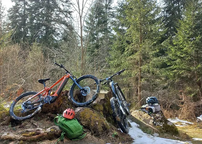 Guest house Edelweiss Cozy